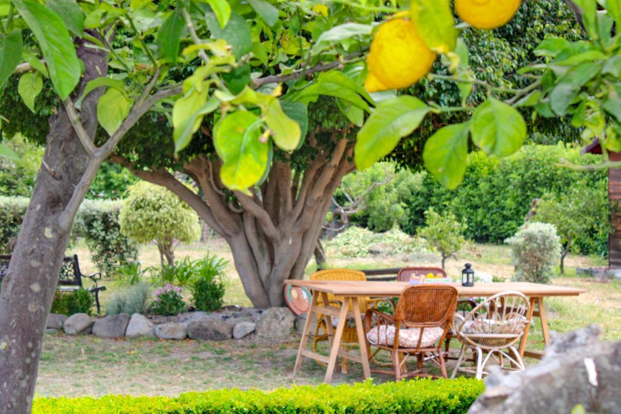 La Casa Di Lina - Capo D'orlando, Casa Con Ampio Giardino Capo dʼOrlando